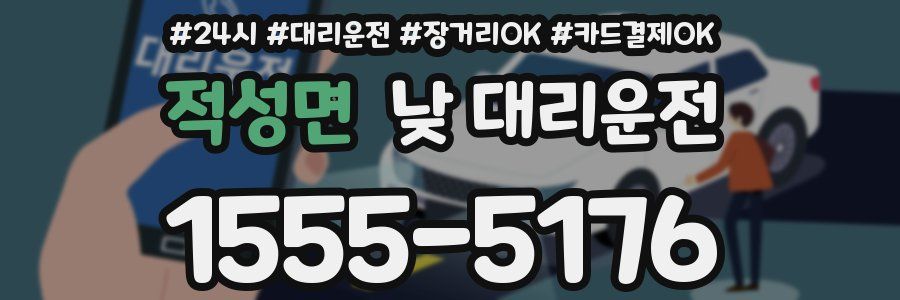 적성면 낮 대리운전