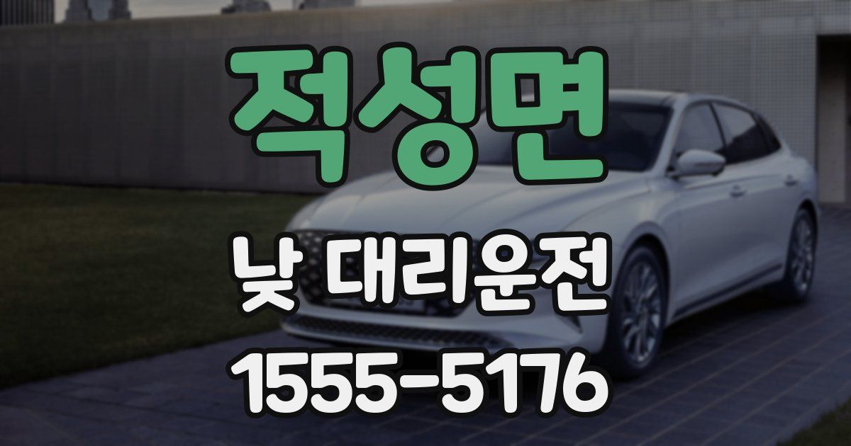 적성면 낮 대리운전