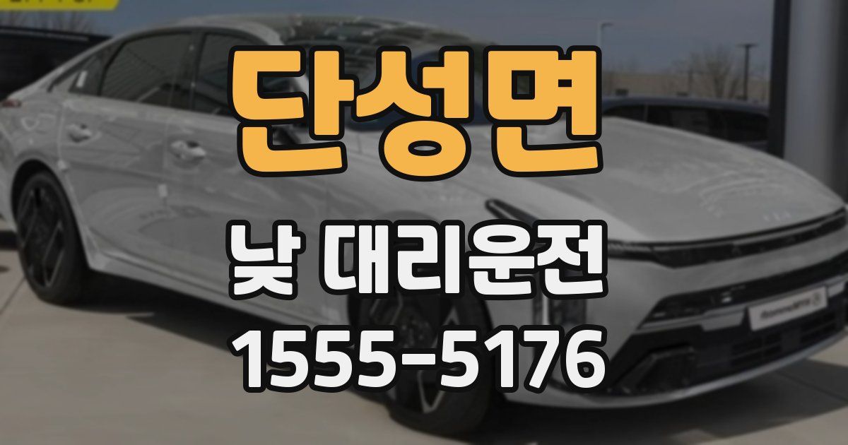 단성면 낮 대리운전