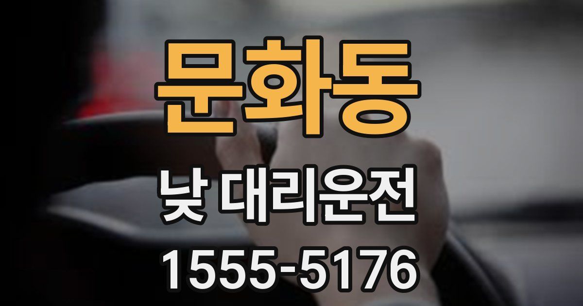 문화동 낮 대리운전