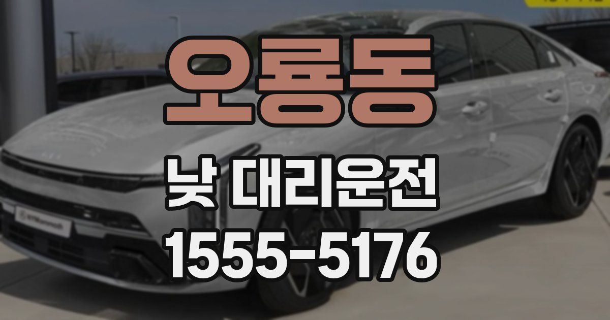 오룡동 낮 대리운전