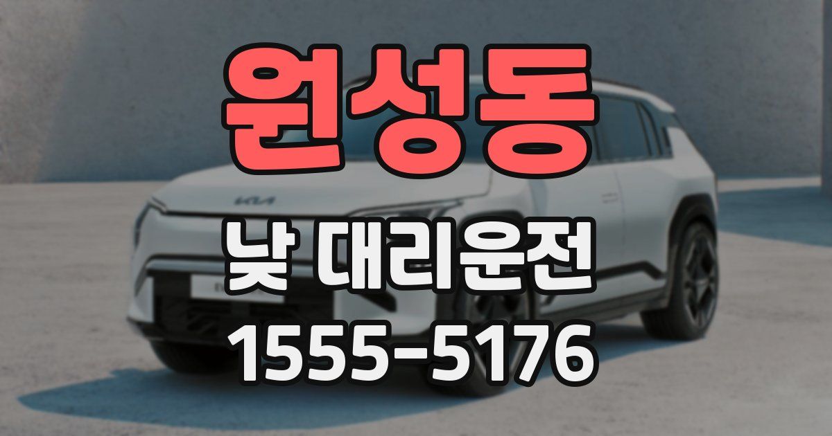 원성동 낮 대리운전
