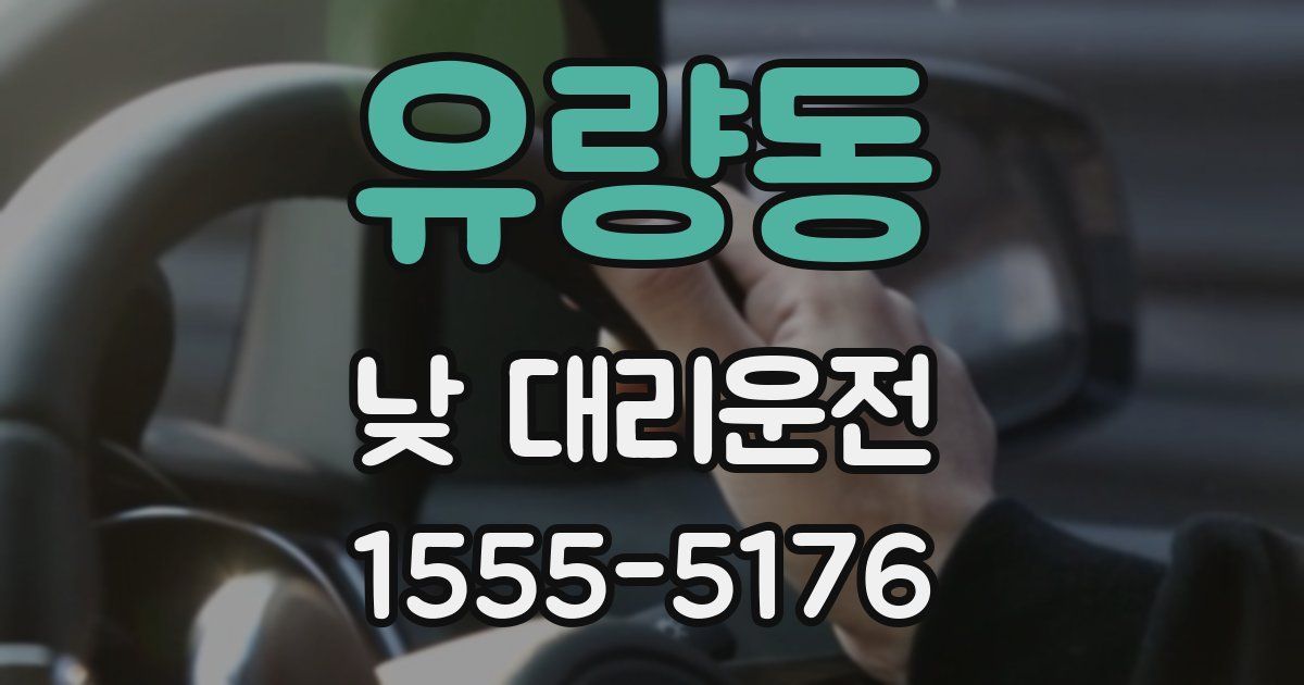 유량동 낮 대리운전