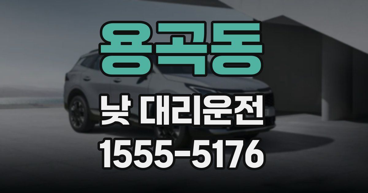 용곡동 낮 대리운전