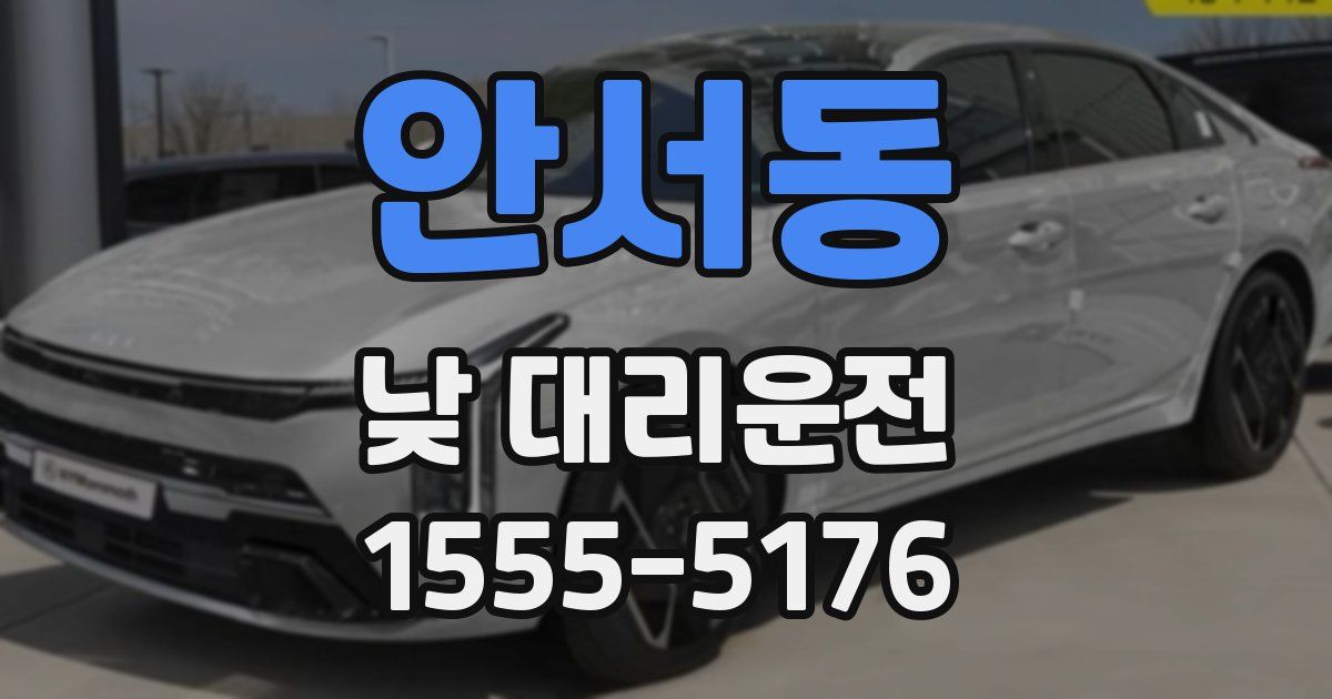 안서동 낮 대리운전