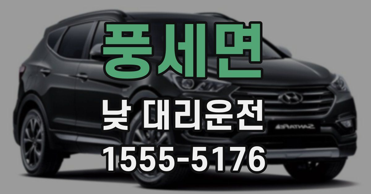 풍세면 낮 대리운전