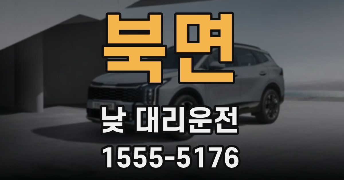 북면 낮 대리운전