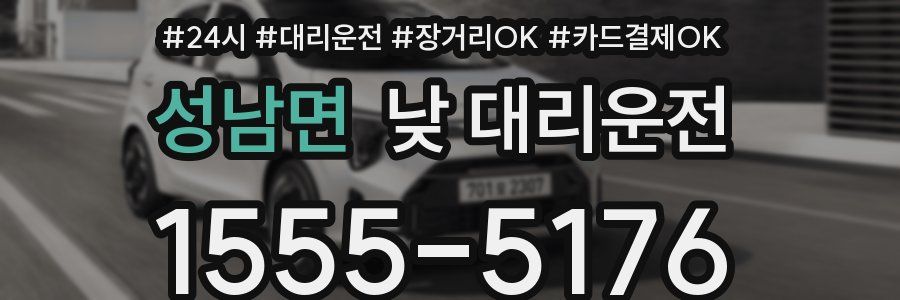 성남면 낮 대리운전