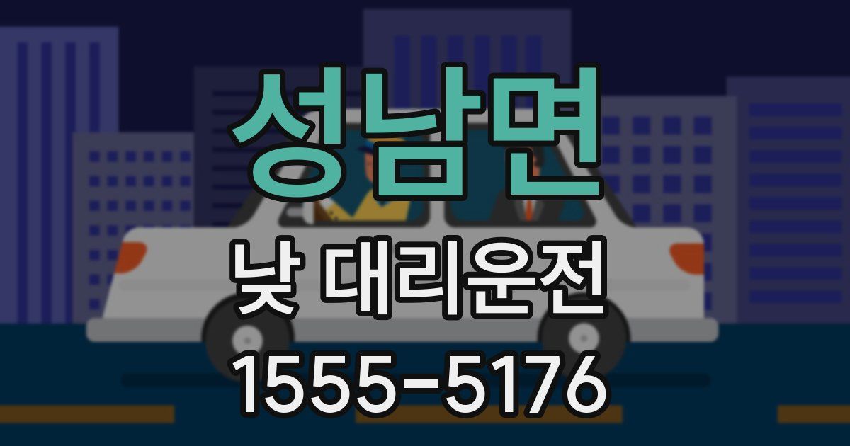 성남면 낮 대리운전