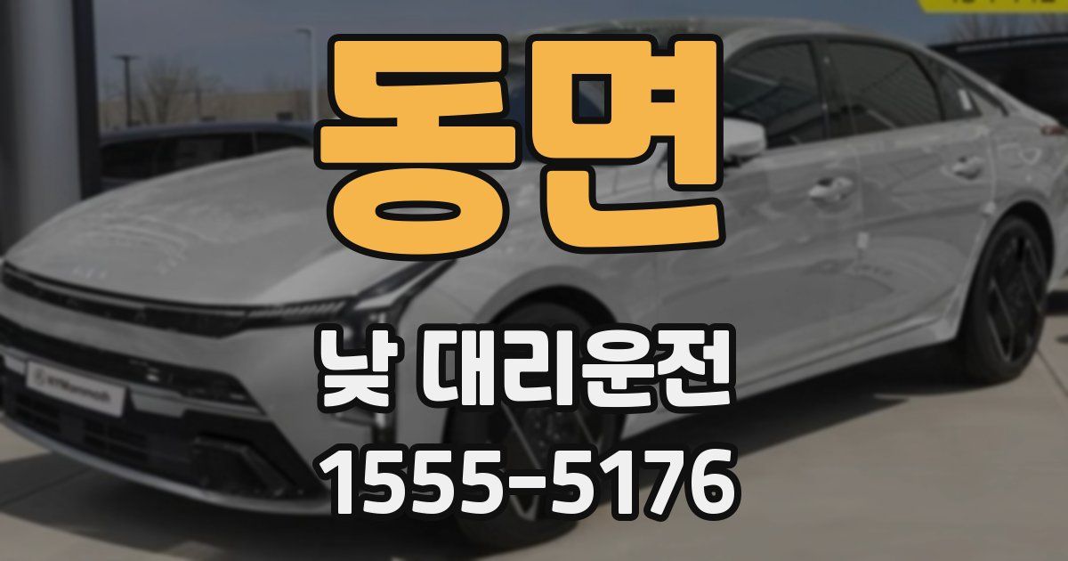 동면 낮 대리운전