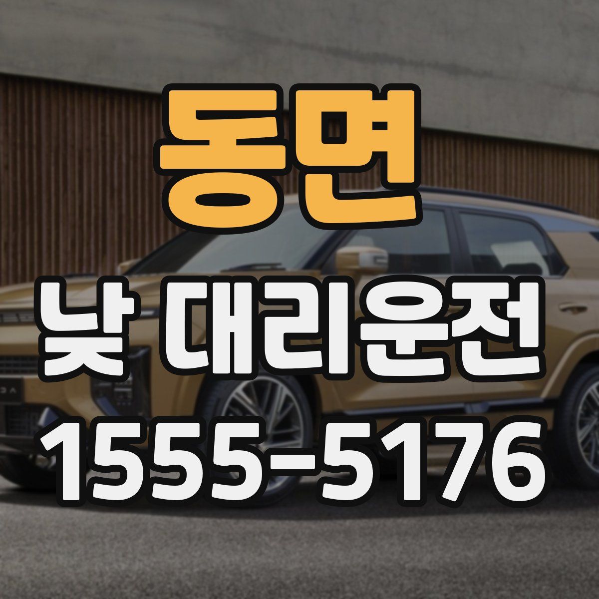 동면 낮 대리운전