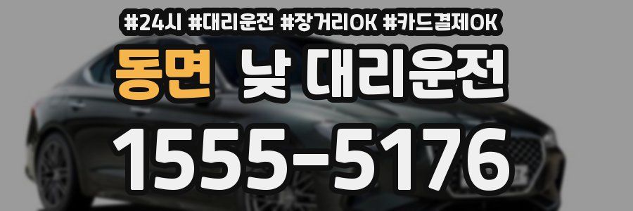 동면 낮 대리운전