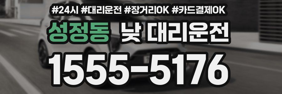 성정동 낮 대리운전
