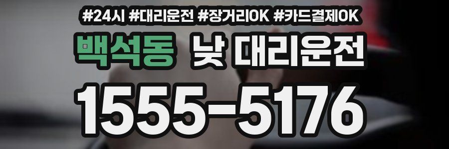 백석동 낮 대리운전
