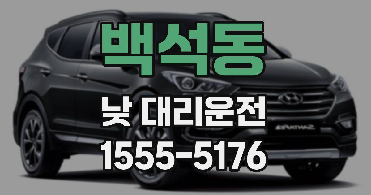 백석동 낮 대리운전