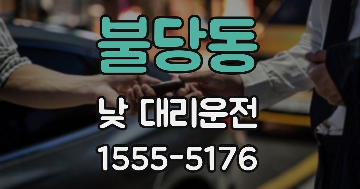 불당동 낮 대리운전