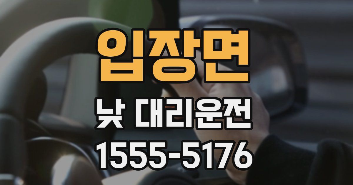 입장면 낮 대리운전