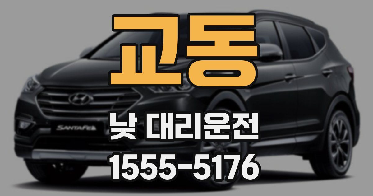 교동 낮 대리운전