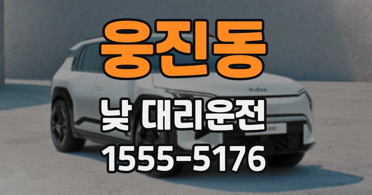 웅진동 낮 대리운전