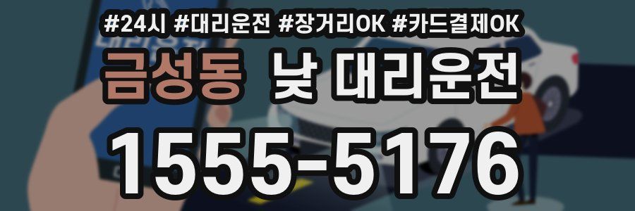 금성동 낮 대리운전