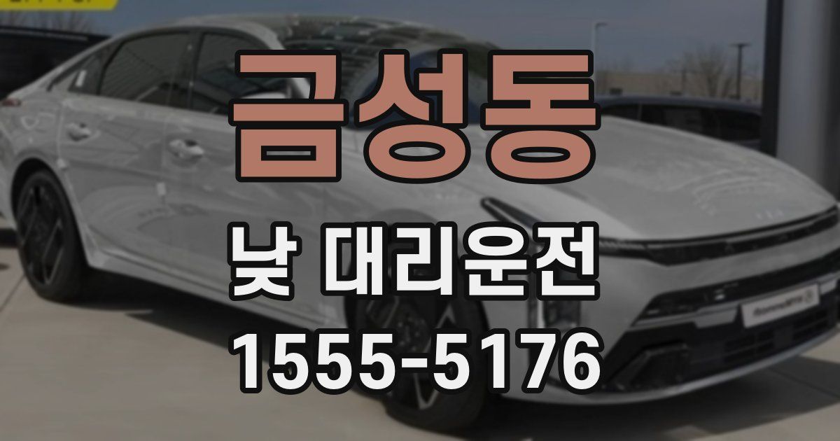 금성동 낮 대리운전