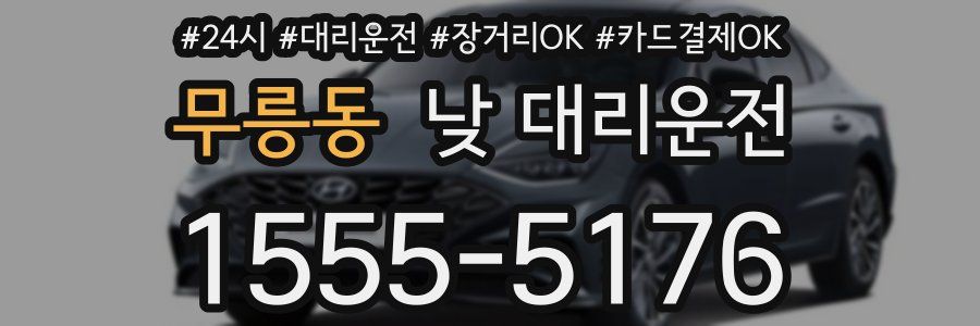 무릉동 낮 대리운전