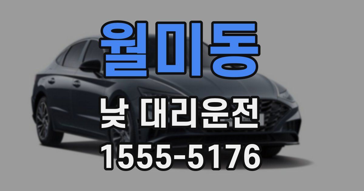 월미동 낮 대리운전