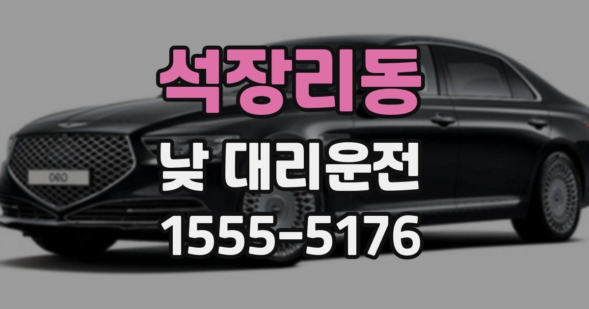 석장리동 낮 대리운전