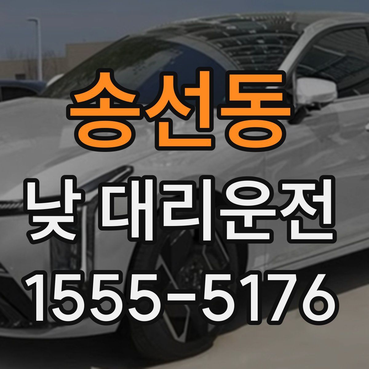 송선동 낮 대리운전