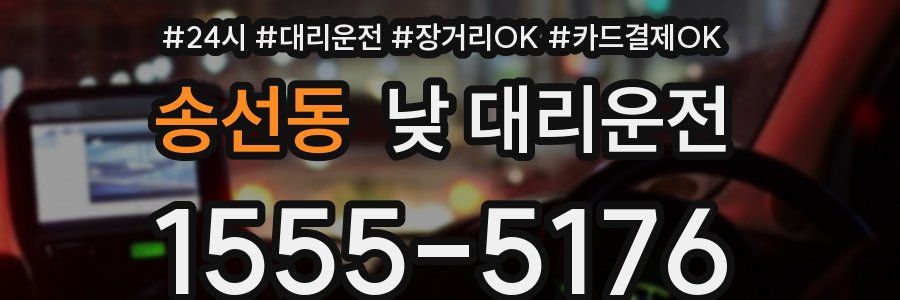 송선동 낮 대리운전