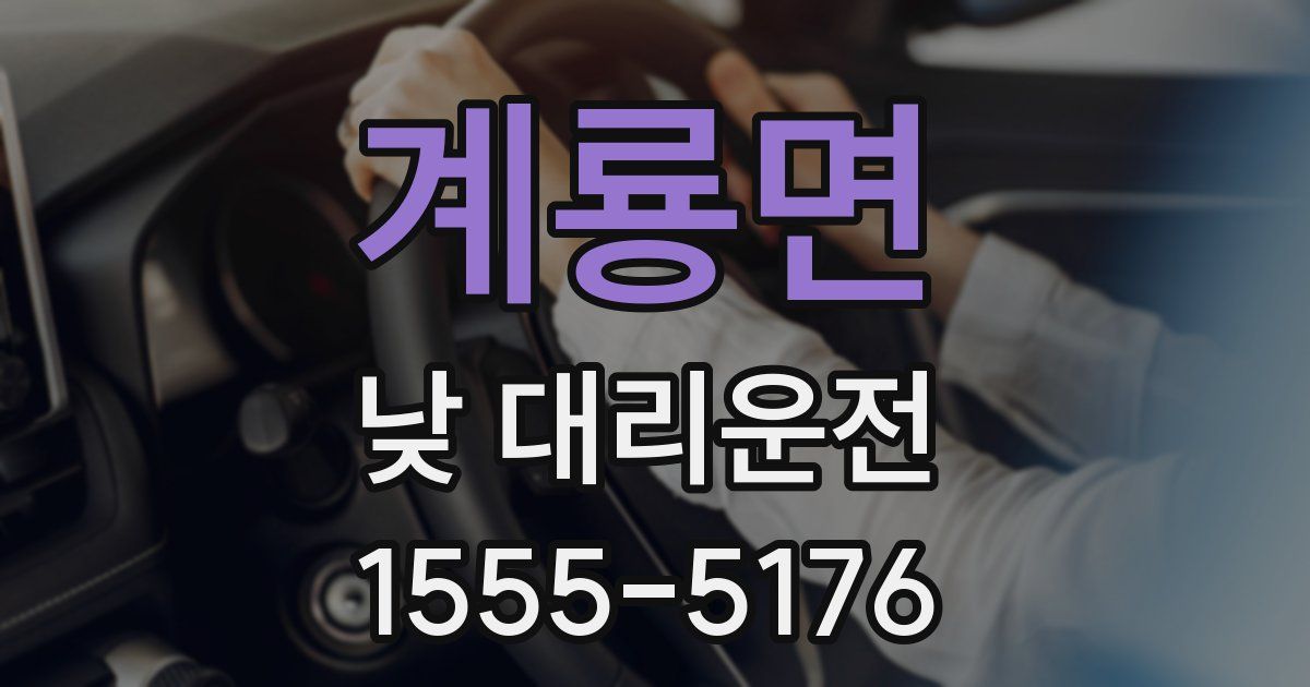 계룡면 낮 대리운전