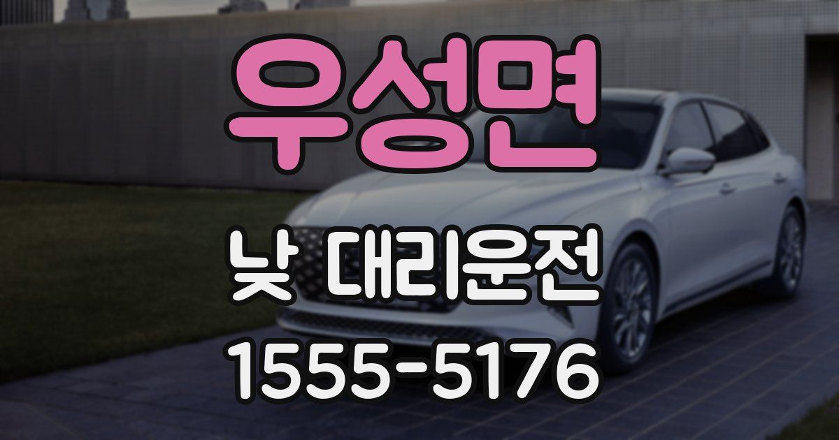 우성면 낮 대리운전