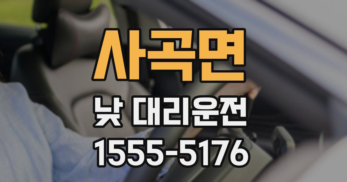 사곡면 낮 대리운전