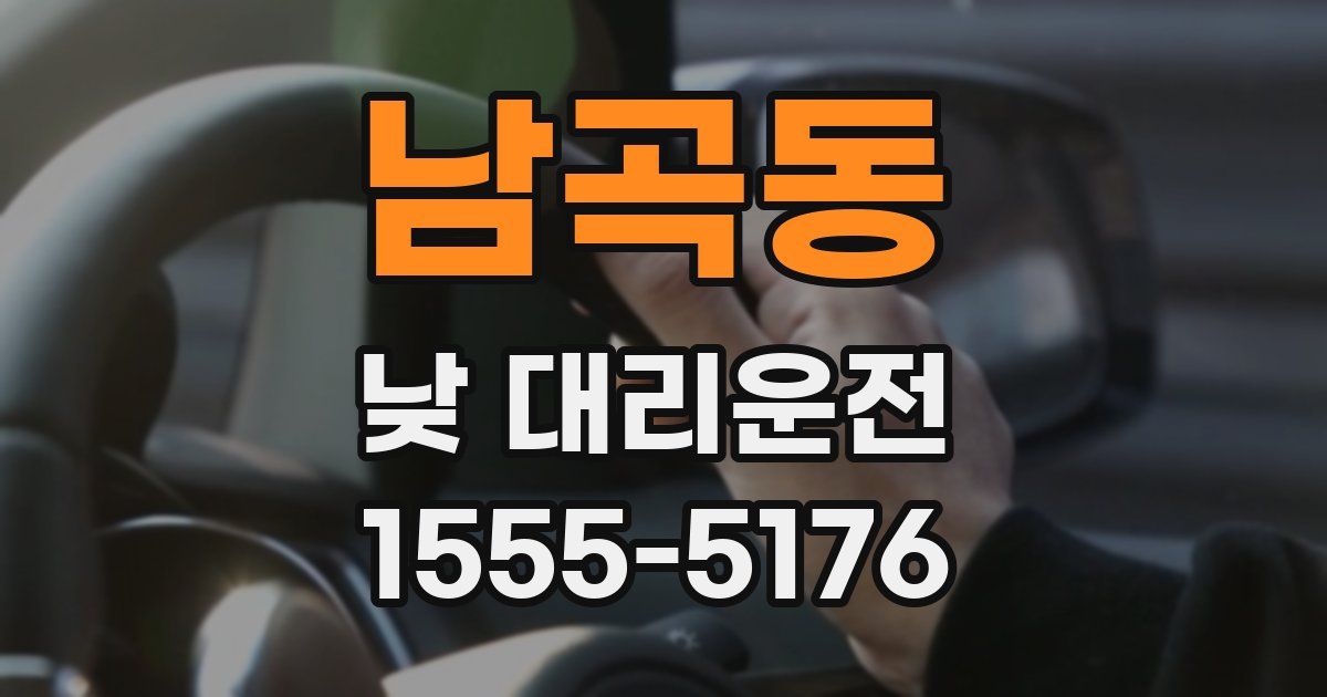 남곡동 낮 대리운전