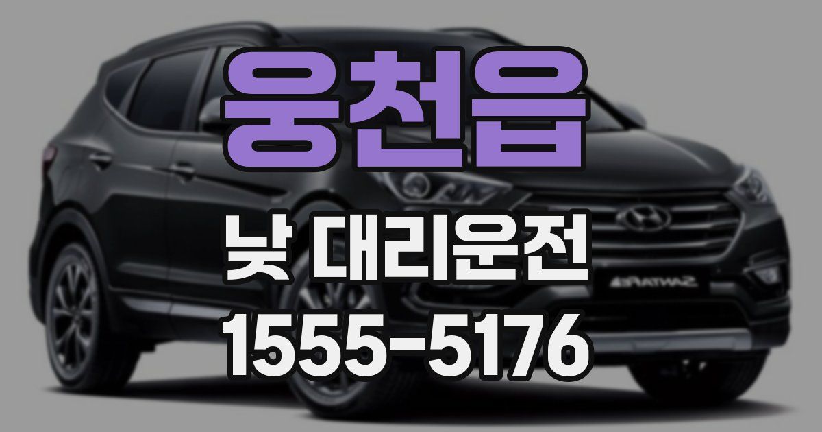 웅천읍 낮 대리운전