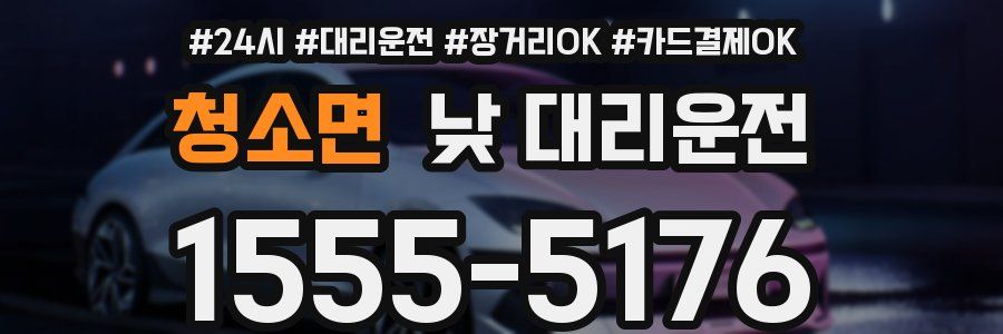 청소면 낮 대리운전