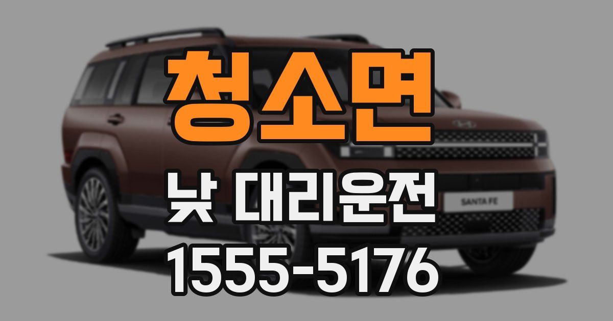 청소면 낮 대리운전