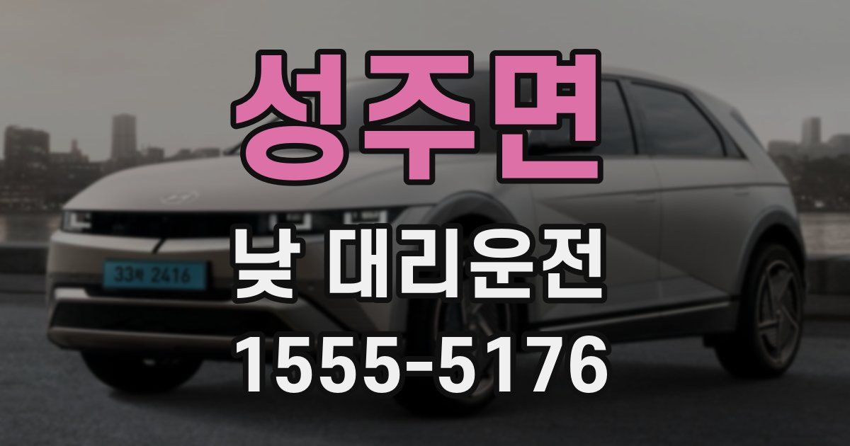 성주면 낮 대리운전