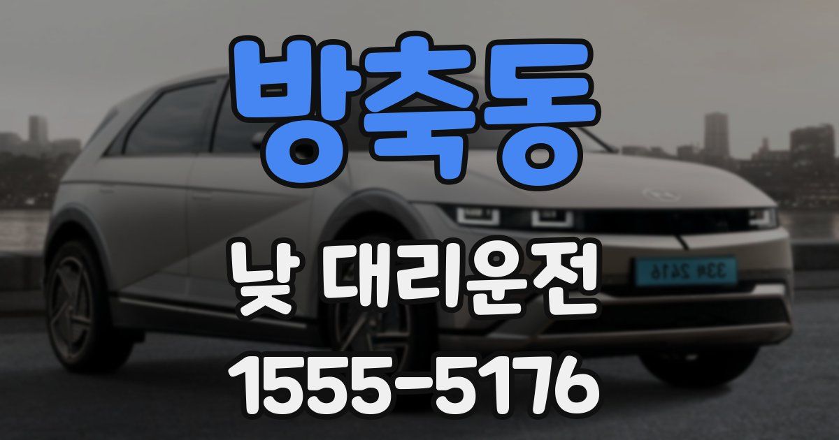 방축동 낮 대리운전