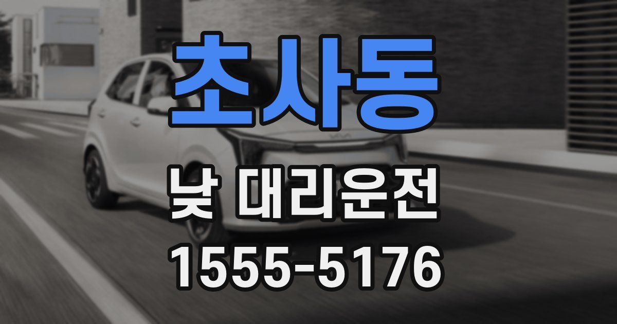 초사동 낮 대리운전