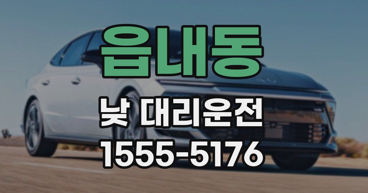 읍내동 낮 대리운전