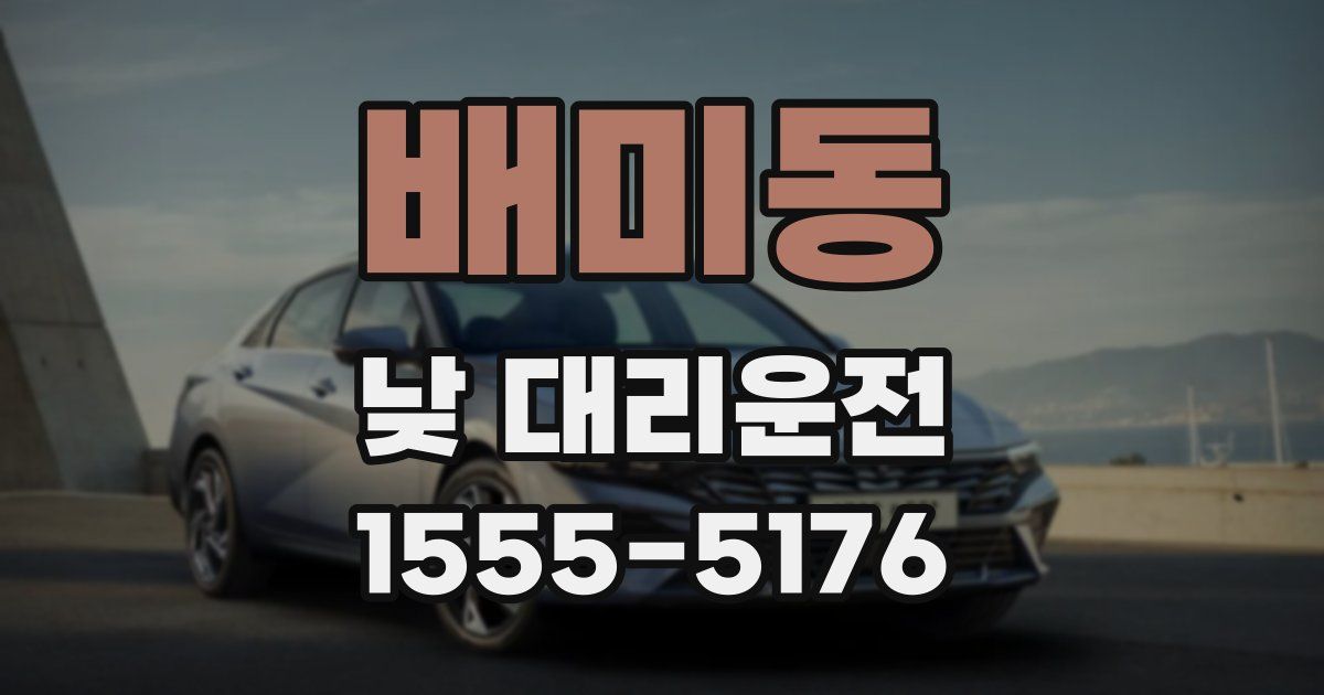 배미동 낮 대리운전