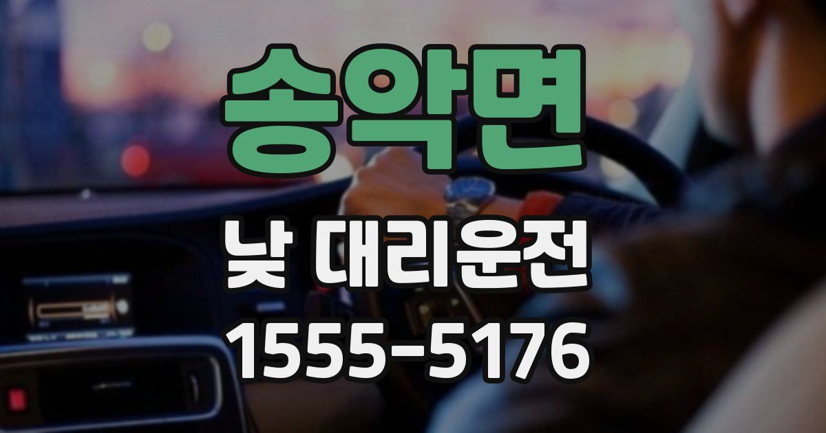 송악면 낮 대리운전
