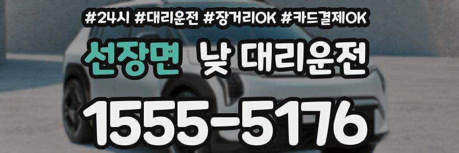 선장면 낮 대리운전