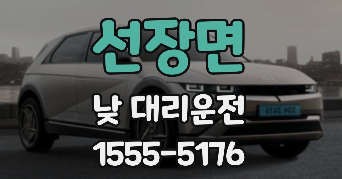 선장면 낮 대리운전