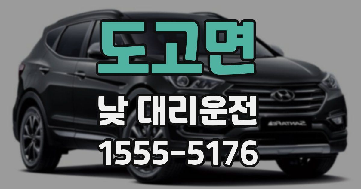 도고면 낮 대리운전