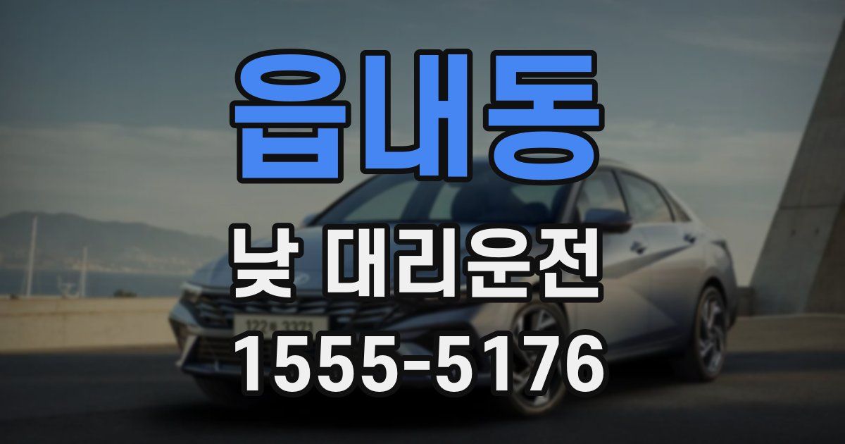 읍내동 낮 대리운전