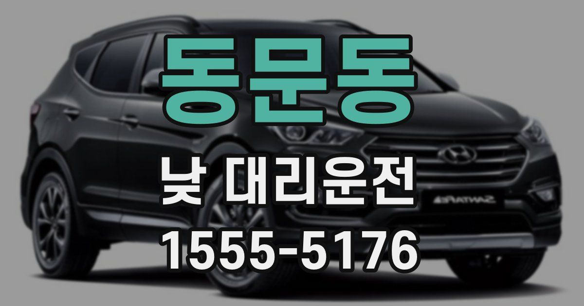 동문동 낮 대리운전