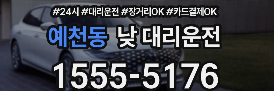 예천동 낮 대리운전