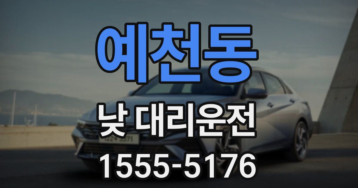 예천동 낮 대리운전